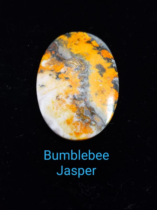 bumblebee jasper
